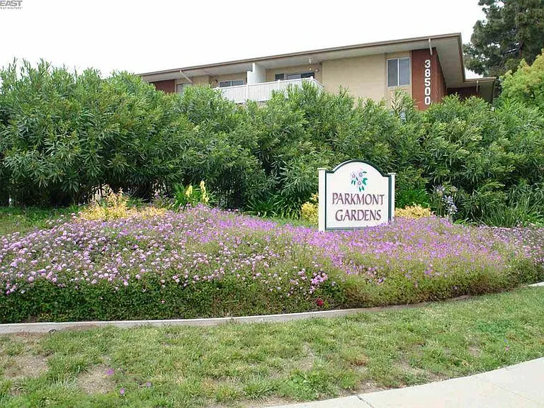 38500 Paseo Padre Pkwy #209 — Photo 20