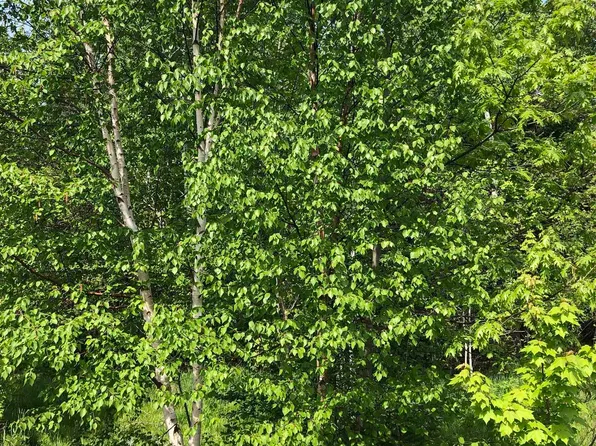 Sigan Rd, Deerton, MI 49822