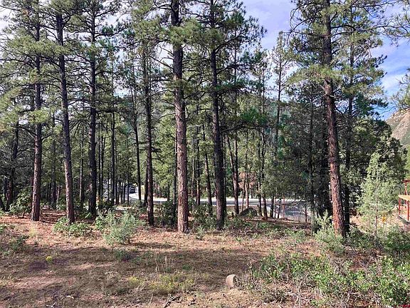 4th image of 53 Snowdrop Ct. (Lot 140)