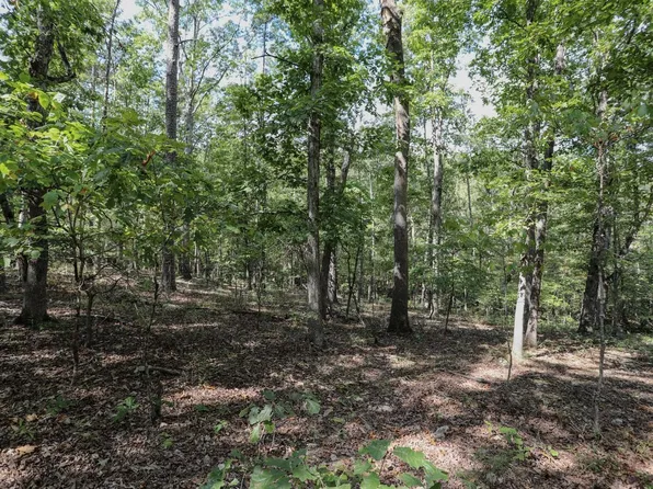 County Road 505a, Greenville, MO 63944