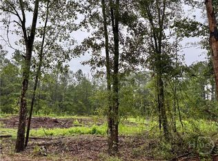 0 Ben Holland Rd, Claxton, GA 30417