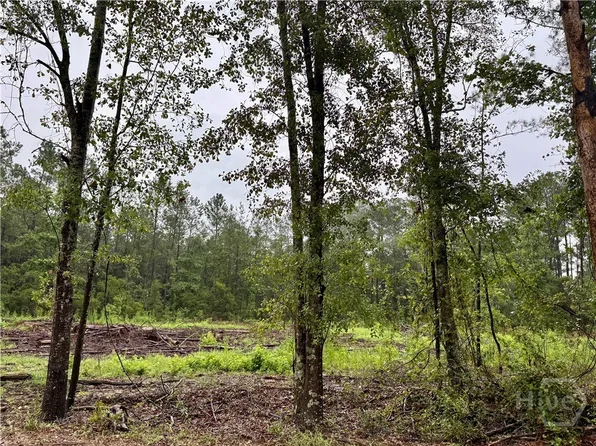 0 Ben Holland Road, Claxton, GA 30417