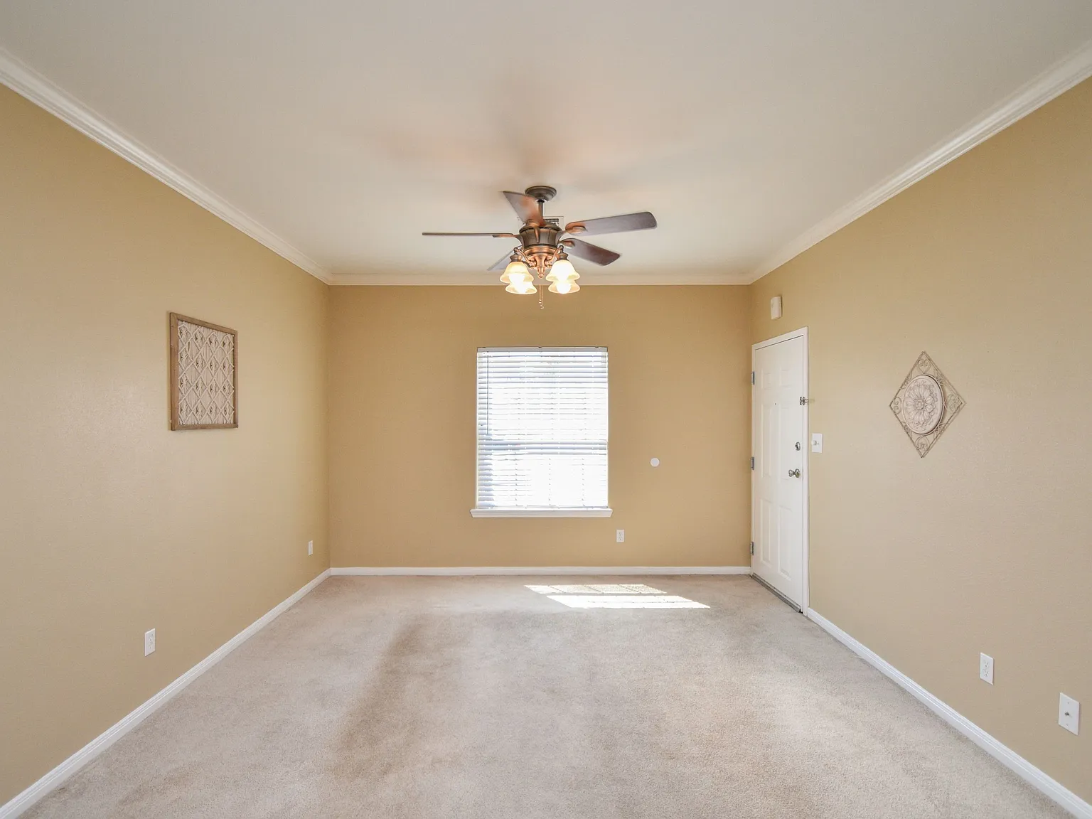 137 Sherwood Fourplex - Apt D — Photo 4