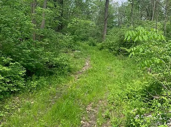 4740 Pinckney Rd, Howell, MI 48843