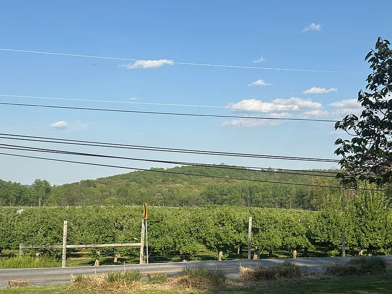 284 S Lewisberry Rd — Photo 3