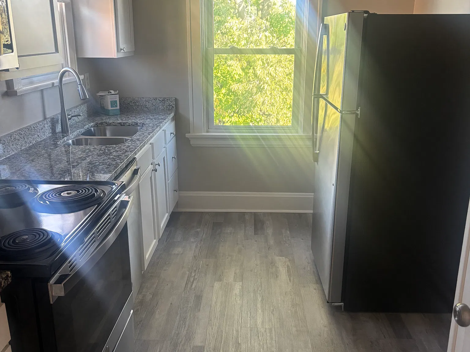 1 bed, 900 sqft, $1,250 — Photo 2