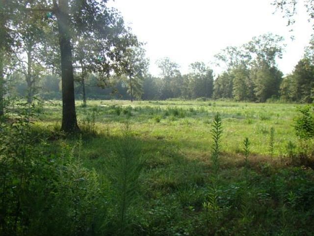 2nd image of 594 Nation Rd