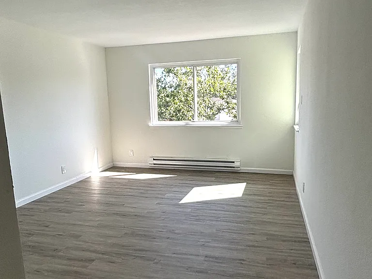 234 5th Ave #5 — Photo 3