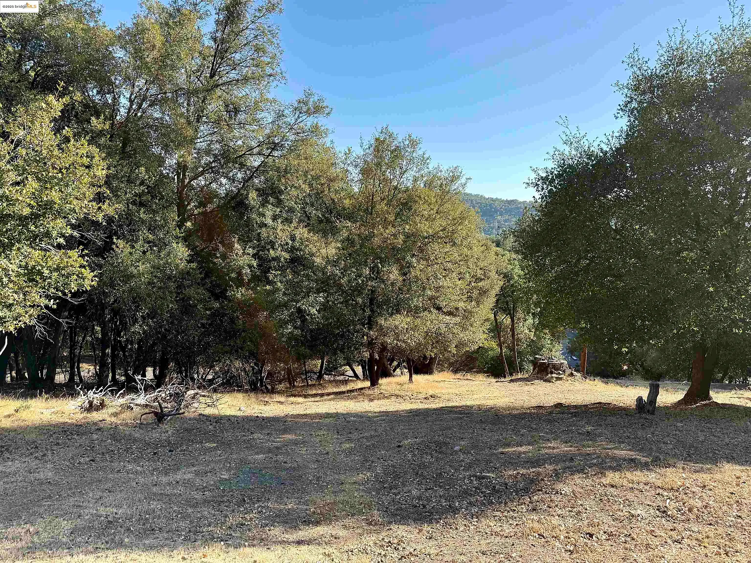 21858 Phoenix Lake Rd photo 1