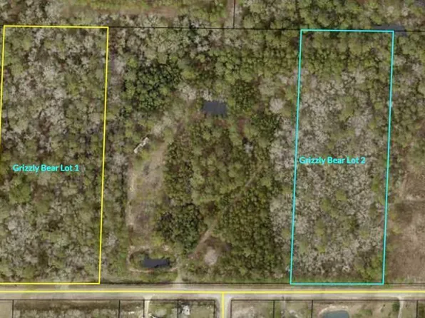 00A Grizzly Bear Rd, Norman Park, GA 31771