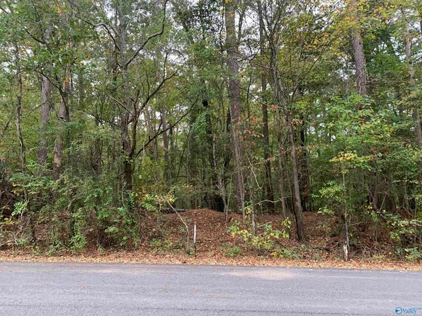 0.69 Beech Hollow Ln, Gadsden, AL 35907