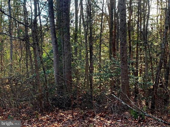 5th image of 9712 Sutters Rd