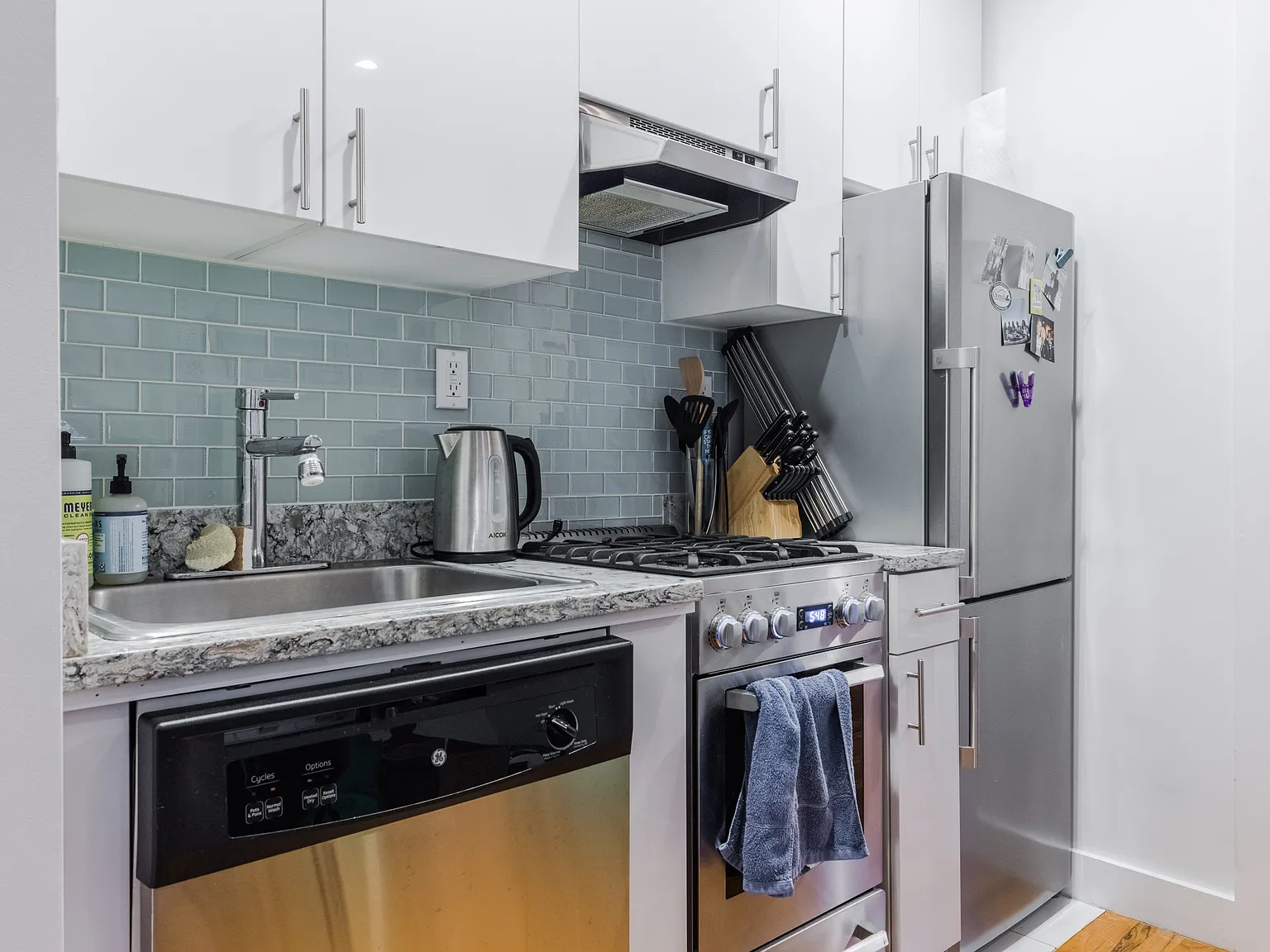233 Elizabeth Street — Photo 1