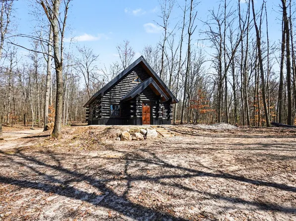 10338 Alpine Dr, Reed City, MI 49677