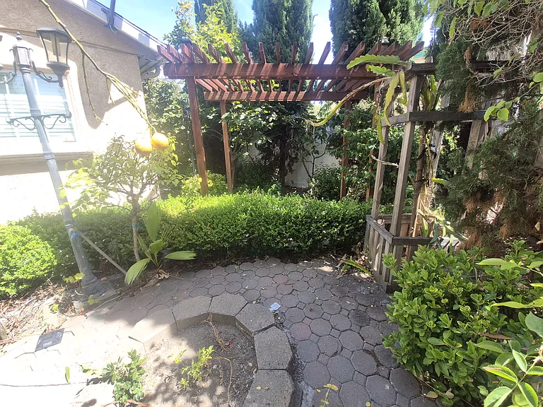 Lush garden