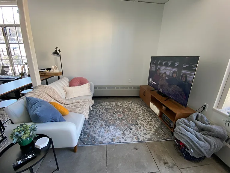 521 W 2nd Street - Leijona — Photo 70