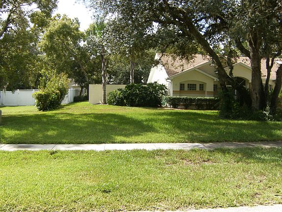 Palms over hang the pool wal