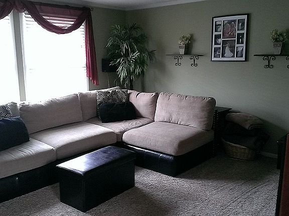 Custom blinds on windows