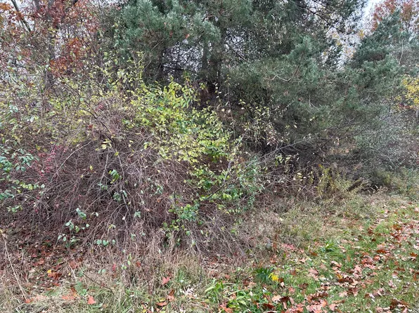 Hiltop Dr, Hamilton, MI 49419