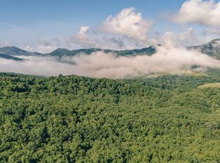 0 Buffalo Rd, Buchanan, VA 24066