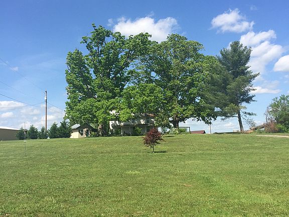 massive shady oak trees