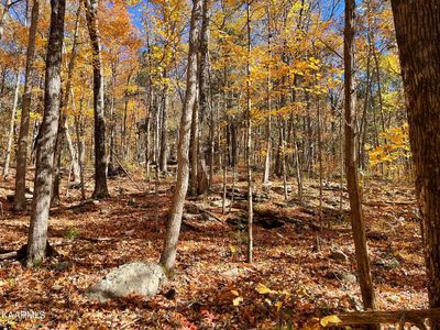 Country Club Rd, Sparta, TN, 38583