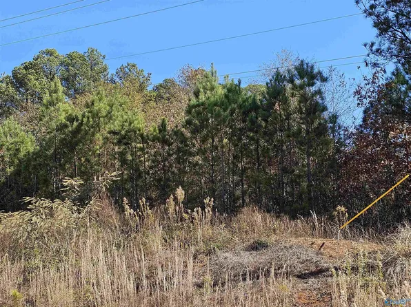 14 Barkley Bridge Rd E, Falkville, AL 35622