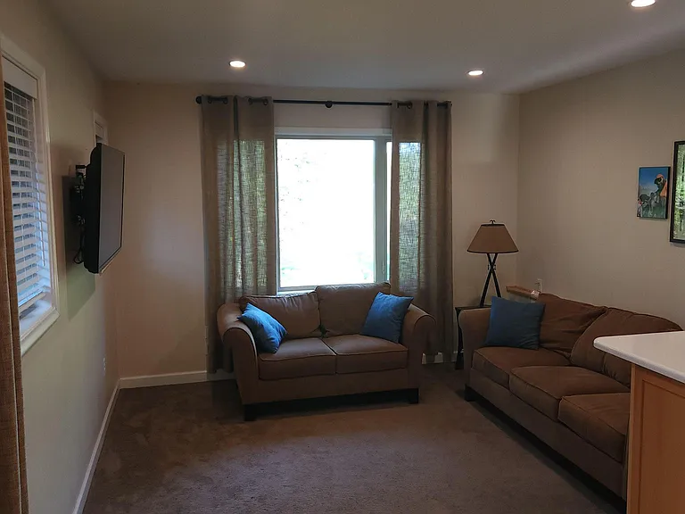Den with Smart TV