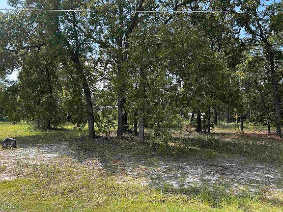 3rd image of X Griffin Rd