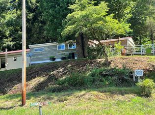 47 Dog Leg Rd, Whittier, NC 28789