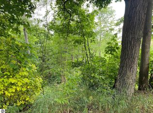 216 Center St, Elk Rapids, MI 49629