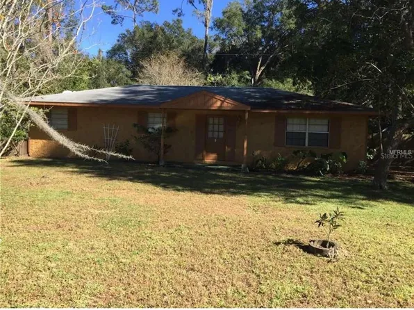 11942 Elm St, San Antonio, FL 33576