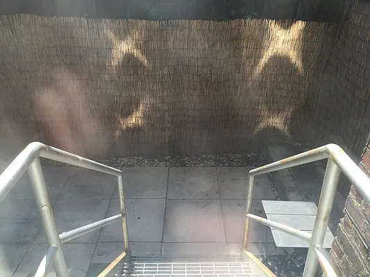 Rented by GPA Realty | media 19