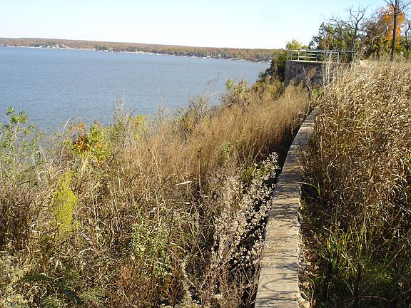 5th image of LOT 8 Johnson St