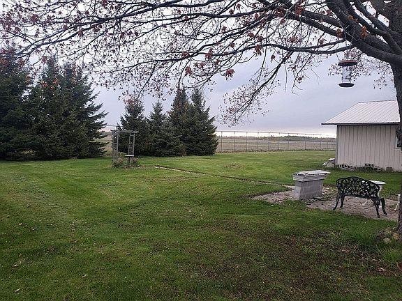 Back yard