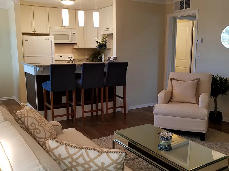 131 41st Ave N, St Petersburg, FL 33703 — Photo 29