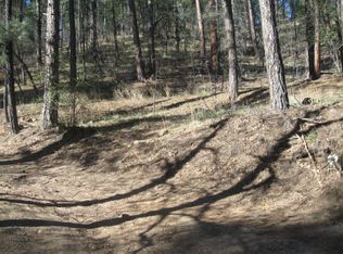 155 Brady Canyon Rd, Ruidoso, NM 88345