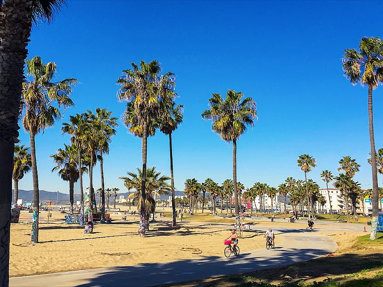The 26 mile bike path runs along the beach right past our building. Great way to explore Venice.