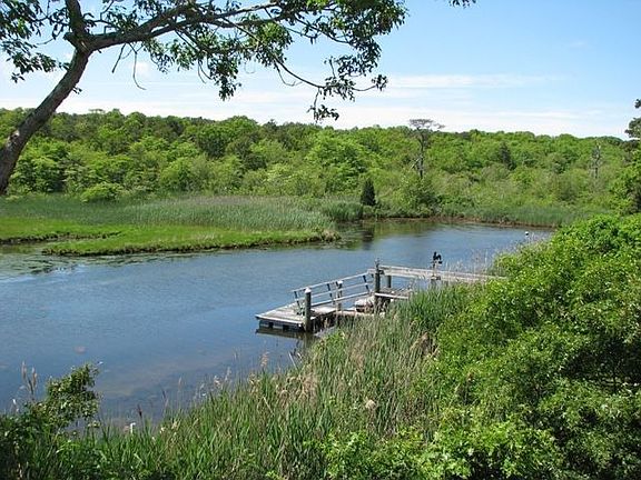 View From Deck/Living Room
