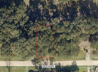 TBD SE 140TH PLACE LOT 82, SUMMERFIELD, FL 34491