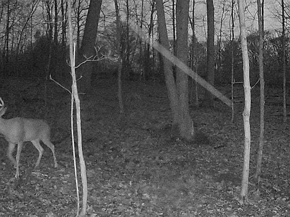 4th image of 000 Campground Rd