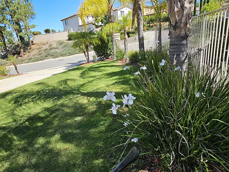 1 Vista Ripalti — Photo 59