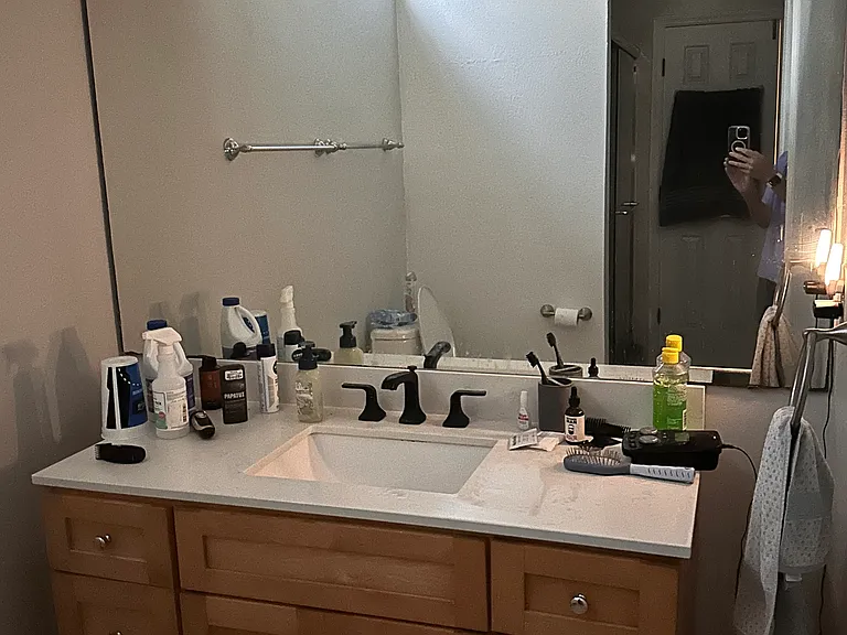 Master bath, shower and walk in closet