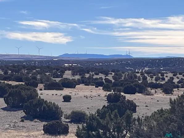 LOT 166 Deer Cir, Quemado, NM 87829