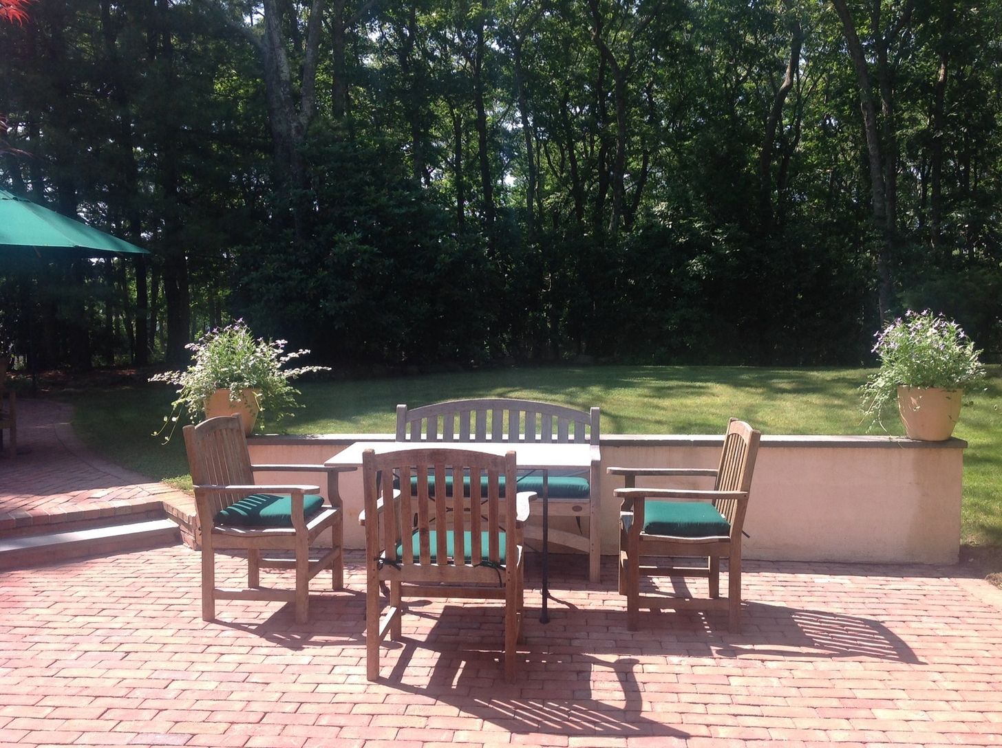  Back patio dining