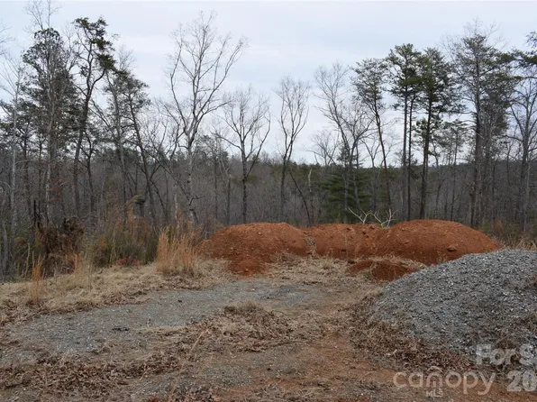 172 Winter Ln, Mill Spring, NC 28756