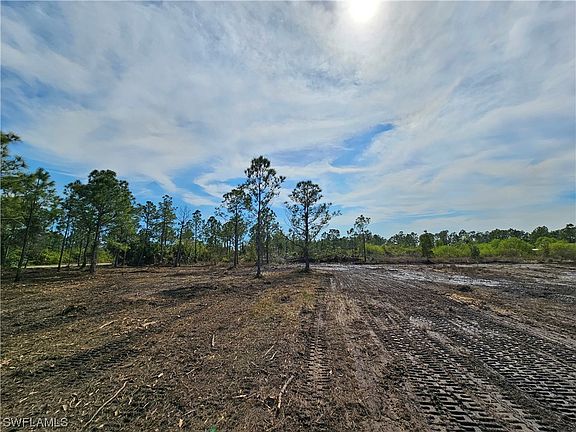 3rd image of 29391 Polk Dr