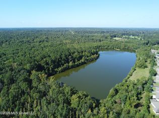 LOT 469 Three Pearl Dr, Pearl, MS 39208