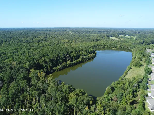 LOT 469 Three Pearl Dr, Pearl, MS 39208