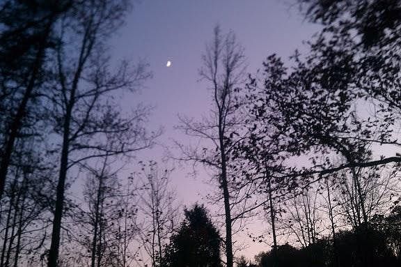 Stars Galore everywhere at night